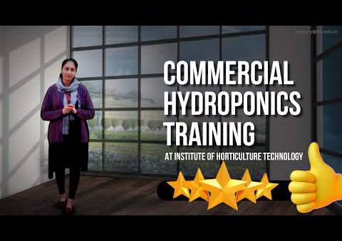 Hydroponic training in delhi