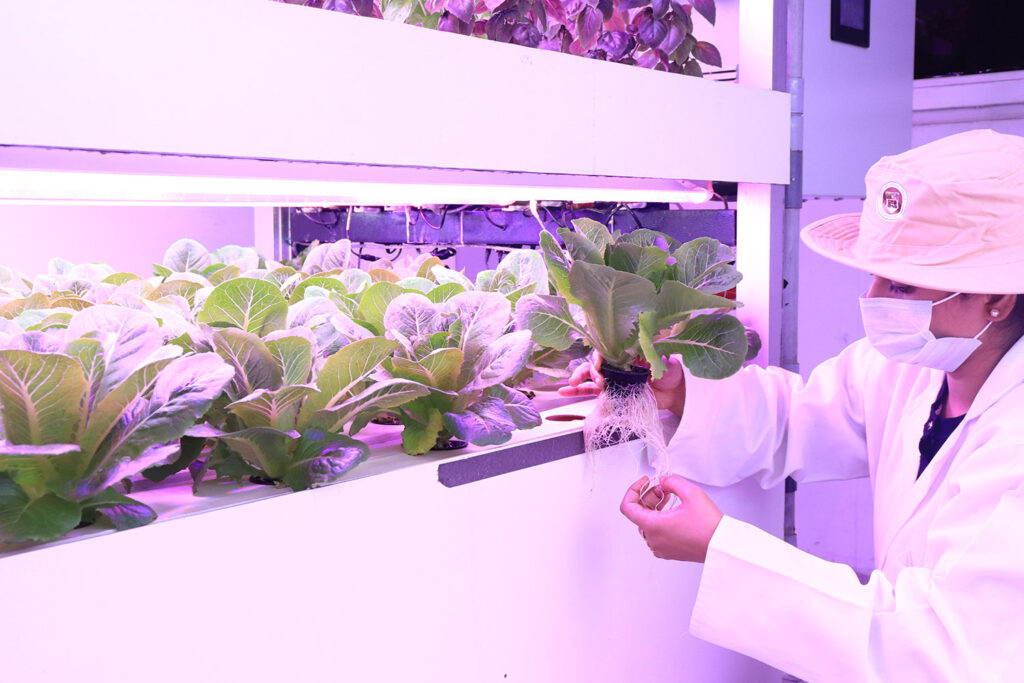 Monitoring Hydroponic Fertigation