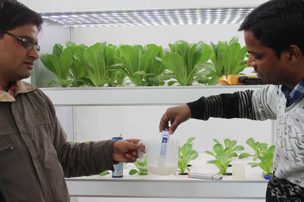 Management of EC and pH in Hydroponics Systems